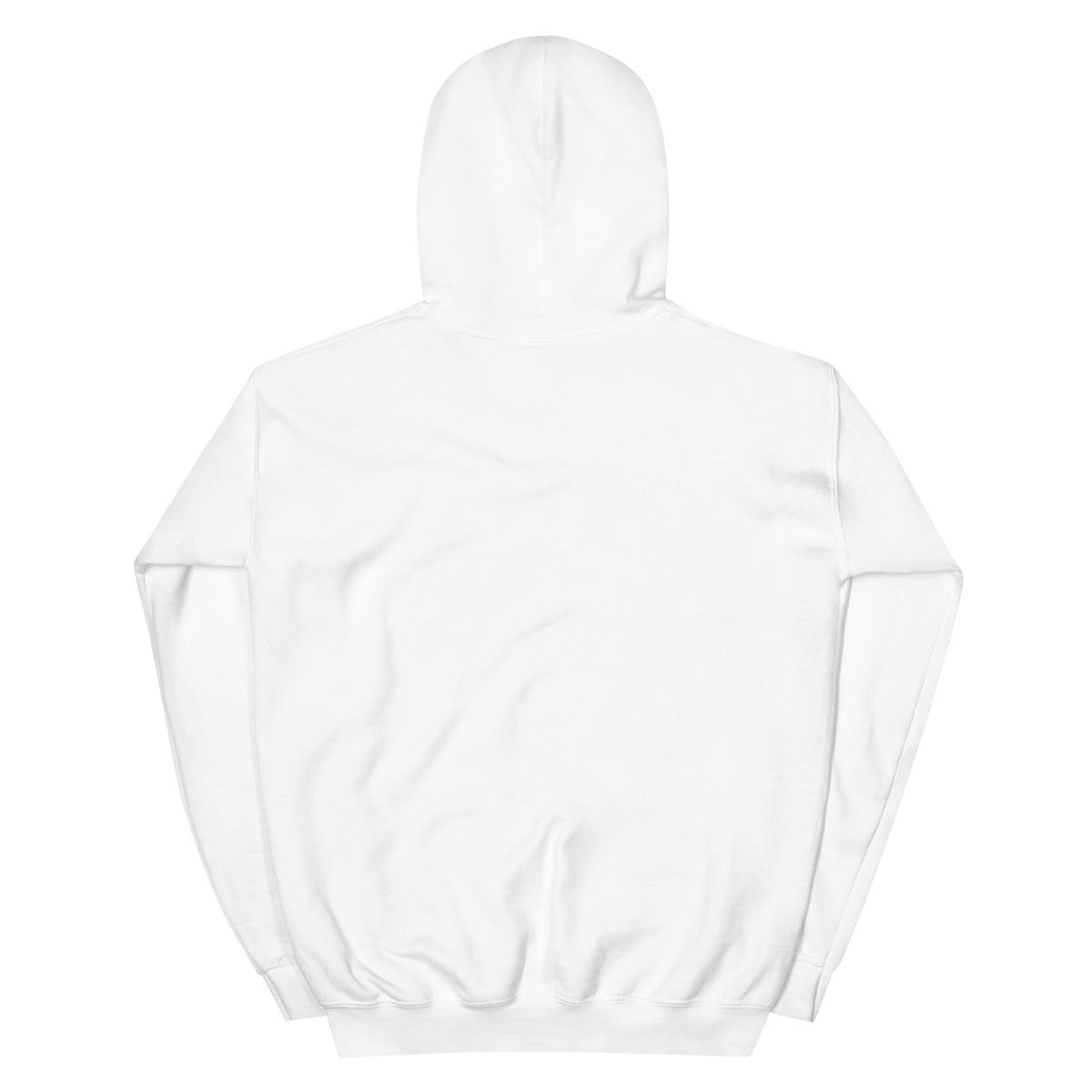 Back view of My Personal Brand Is a Fucking Recall — Hoodie